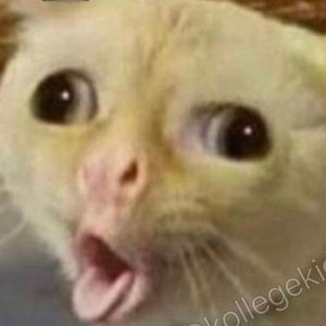 Meet your Posher, Ed